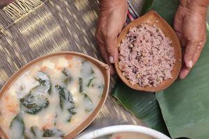 Mote de queso costeño, plato insignia de la región y de este departamento en específico, encuentra su origen hace 124 años en Corozal, Sucre