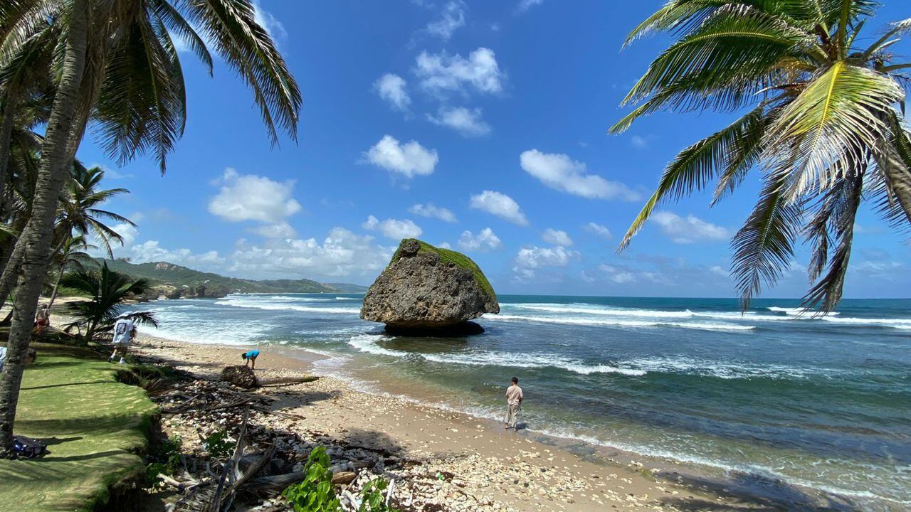 Barbados Cinco Planes Para Disfrutar De La Paradisíaca Isla Caribeña