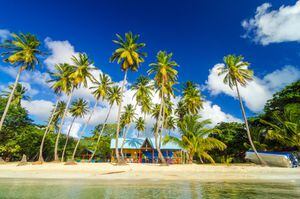 Colorful shack on a beach surrounded by palm trees in San Andres y Providencia, Colombia