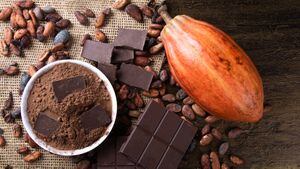 Detalle de frutos de cacao con trozos de chocolate y cacao en polvo sobre granos de cacao crudos.