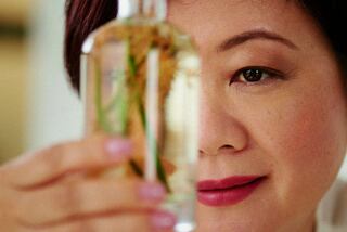 Verónica Kato, una de las perfumistas más reconocidas del mundo.