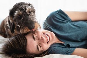 Mujer feliz jugando con su perro dentro de casa durante el aislamiento de encierro - Mascota lamiendo la cara del dueño - Enfoque en la cara