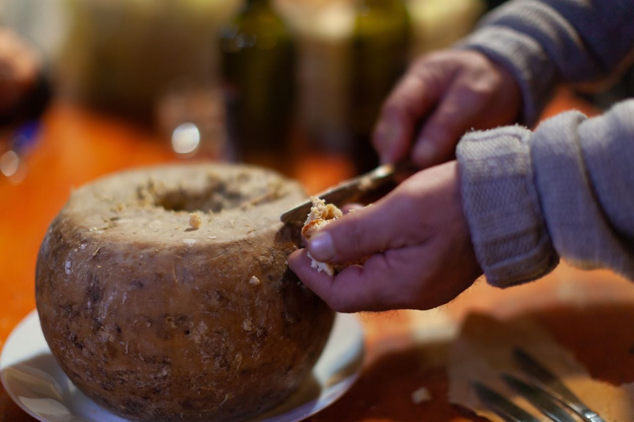 Este es el famoso queso conocido como "casu marzu", se fabrica en la isla de Cerdeña.