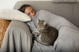 Se desvela el misterio detrás de la elección de los gatos al dormir junto a una persona.