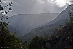 El Parque Nacional Natural Tatamá está ubicado entre los departamentos de Valle, Chocó y Risaralda.