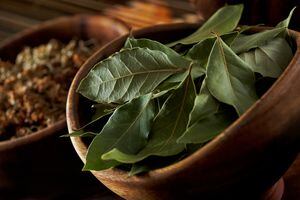 Sus propiedades buenas para la salud pueden verse opacadas por los riesgos de consumirla inadecuadamente.
