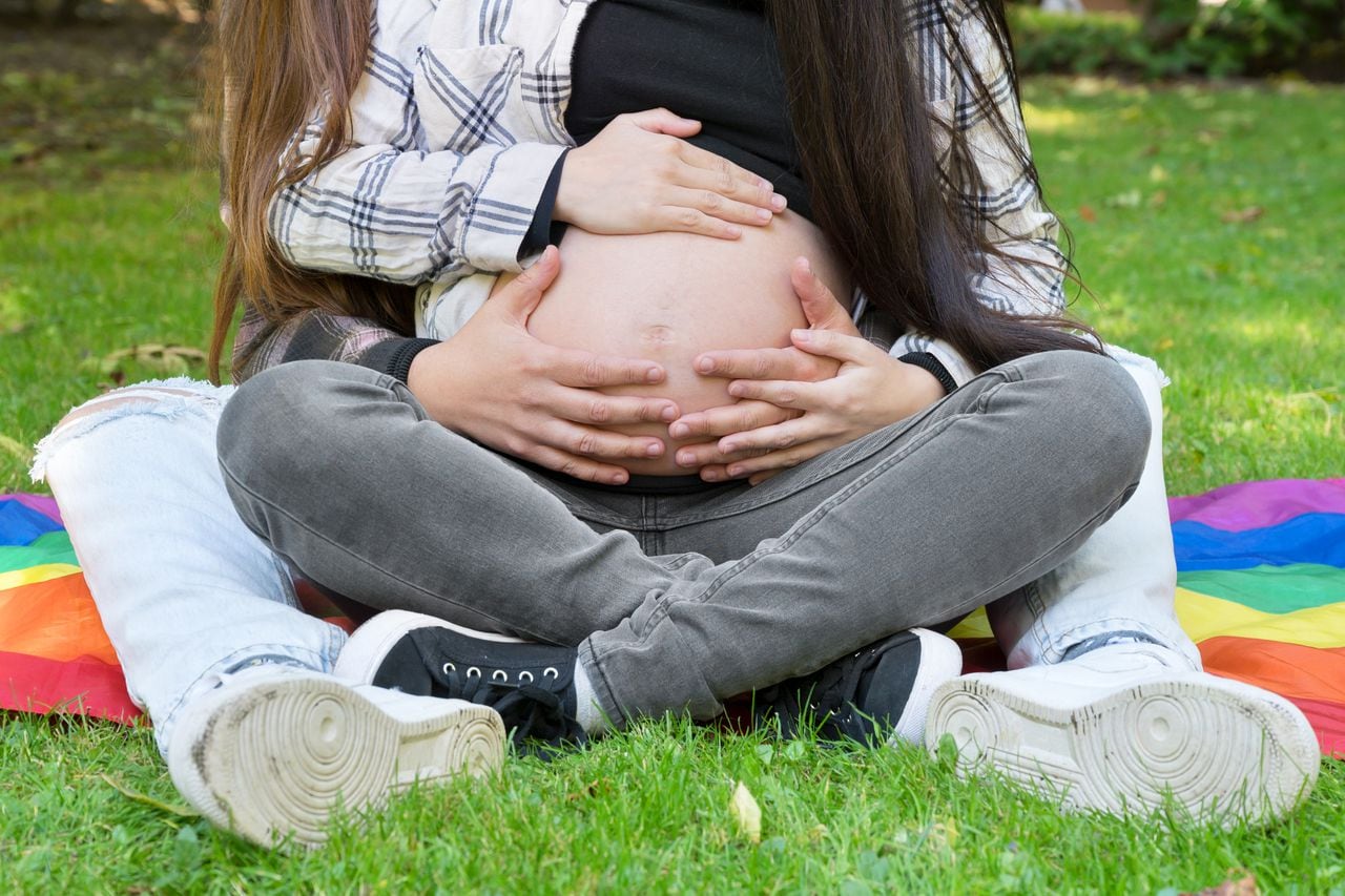 Portrait of an unrecognizable affectionate pregnant lesbian couple with rainbow flag, relaxed at the park. Two happy girlfriends. Homosexual relationship. LGBT Community Pride. High quality 4k footage