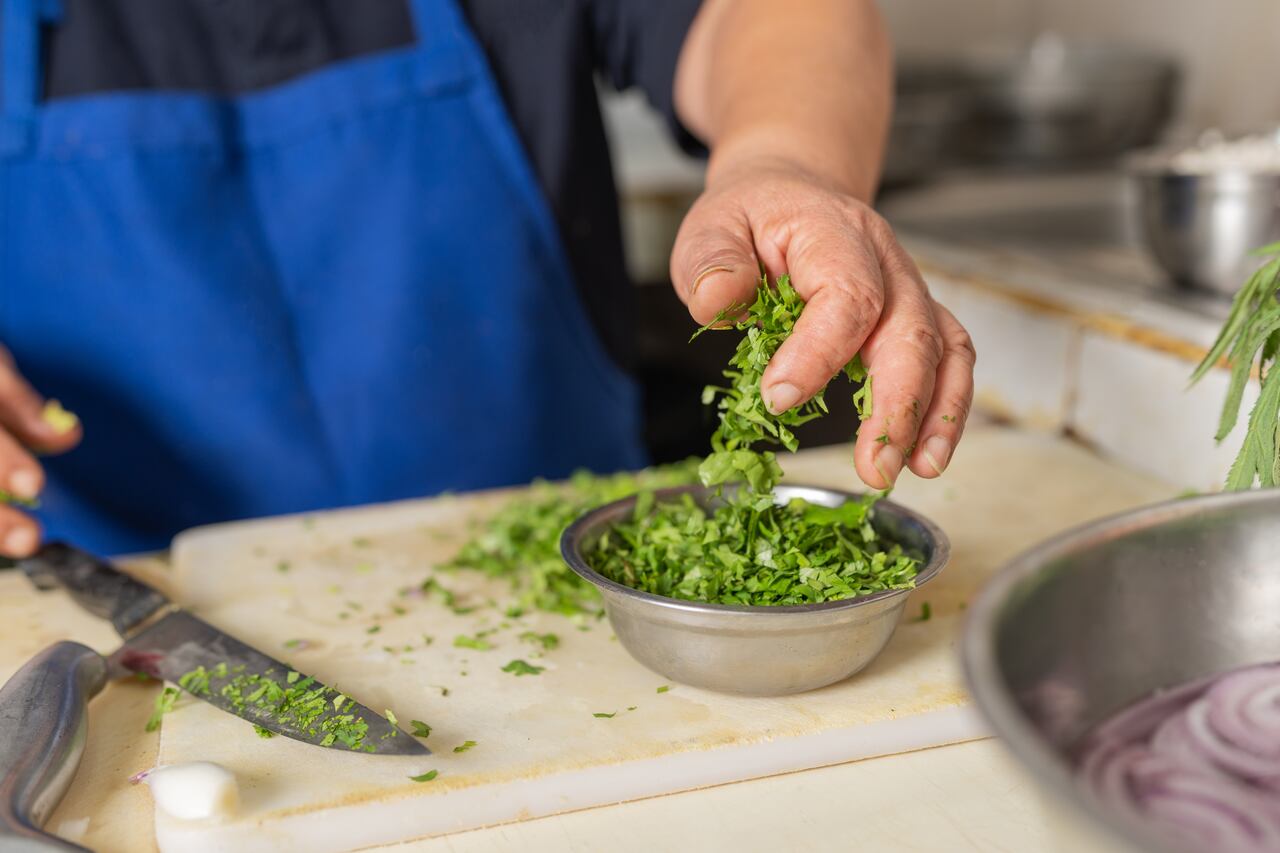 Cilantro