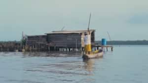 Nueva Venecia
YouTube