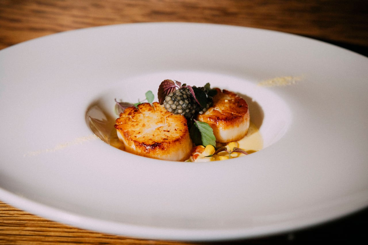 Tampa sabe a excelencia: la ciudad que conquista con su alta cocina Michelin