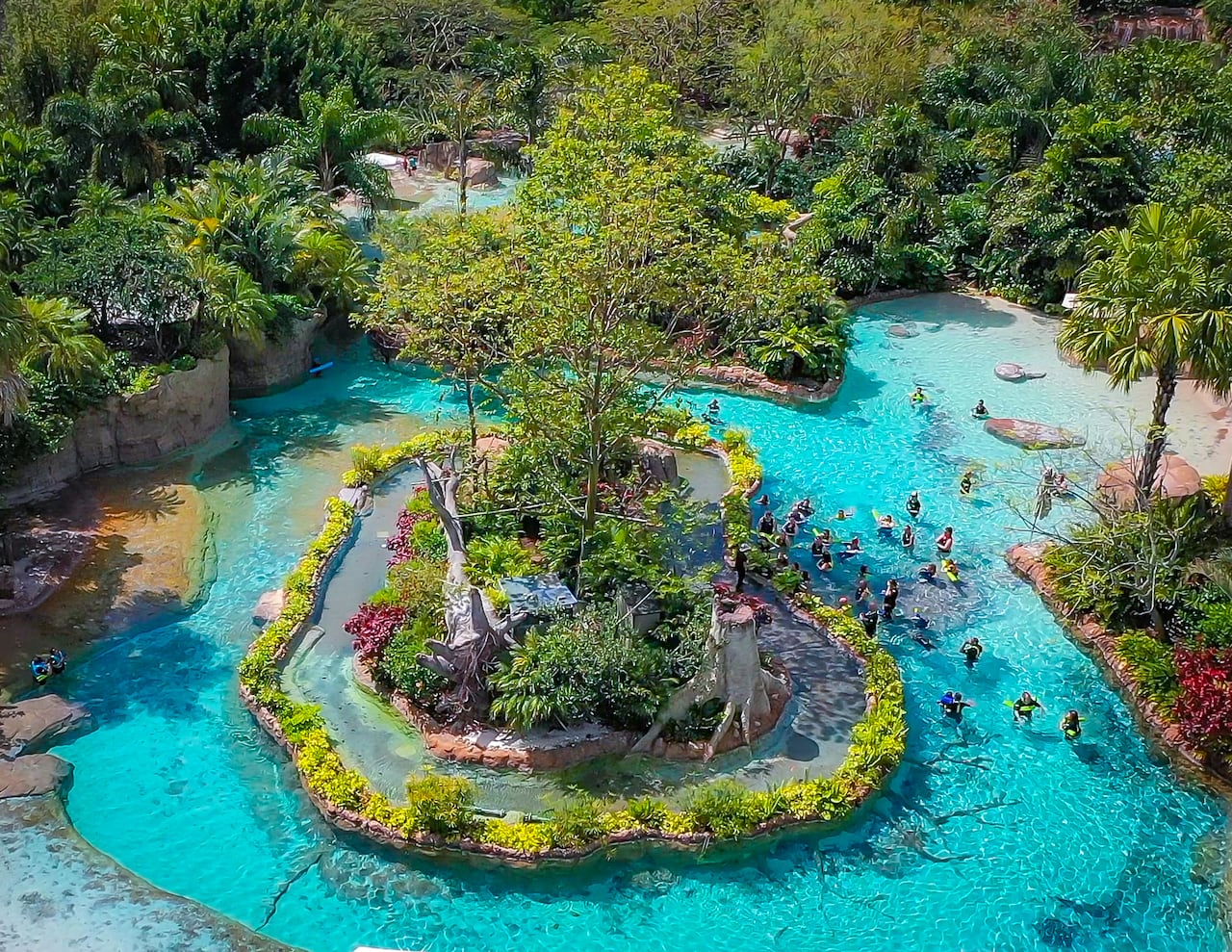 Tres razones para dejarse llevar por Discovery Cove, el secreto tropical mejor guardado de Orlando
