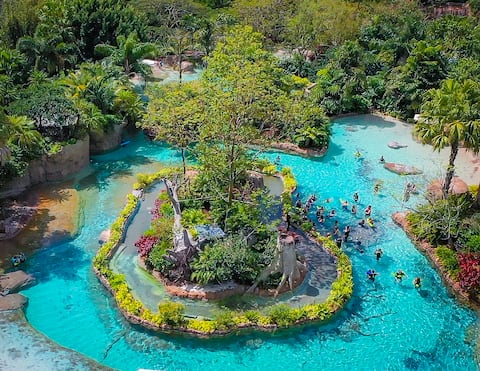 Tres razones para dejarse llevar por Discovery Cove, el secreto tropical mejor guardado de Orlando