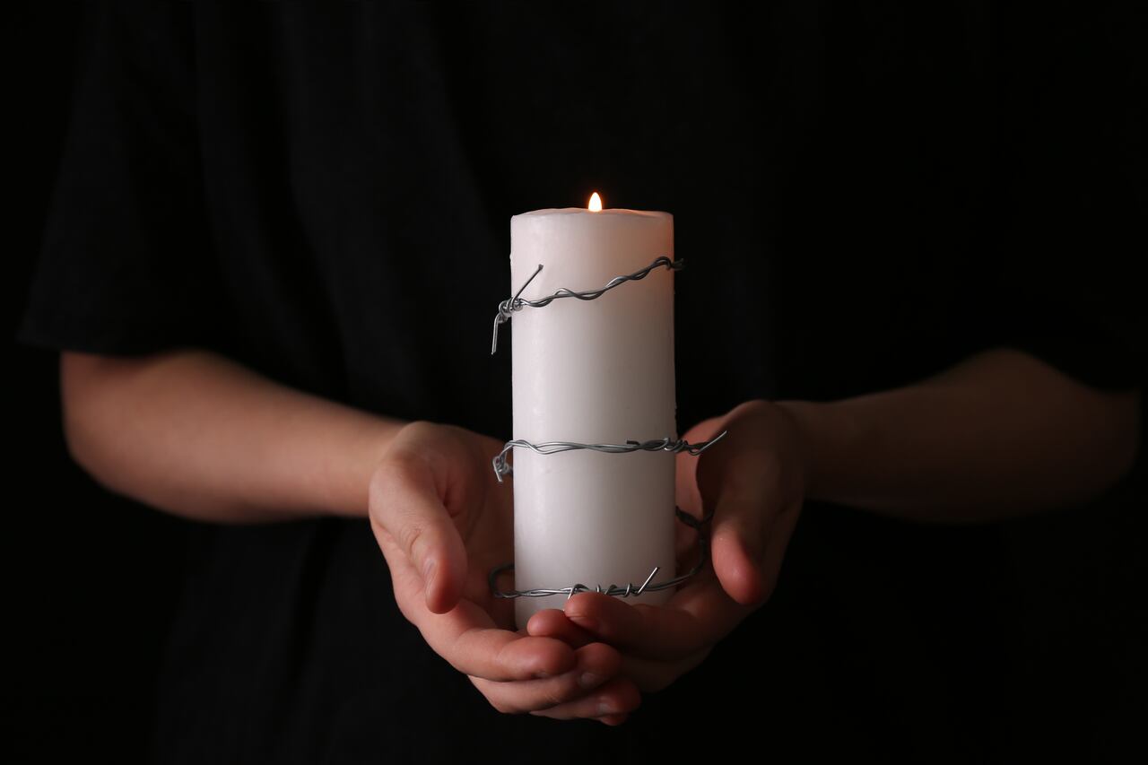 Vela