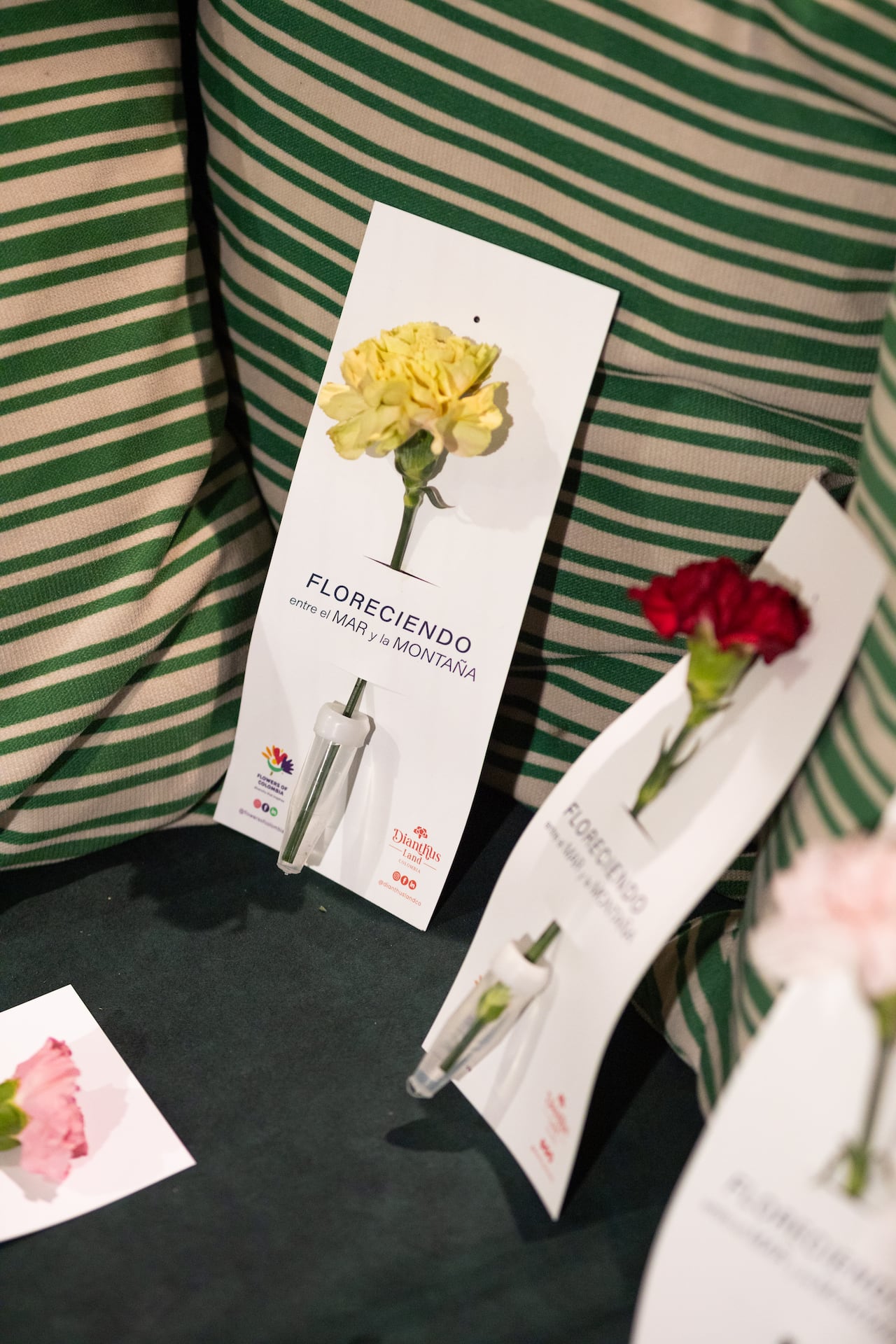 El perfume como declaración de identidad