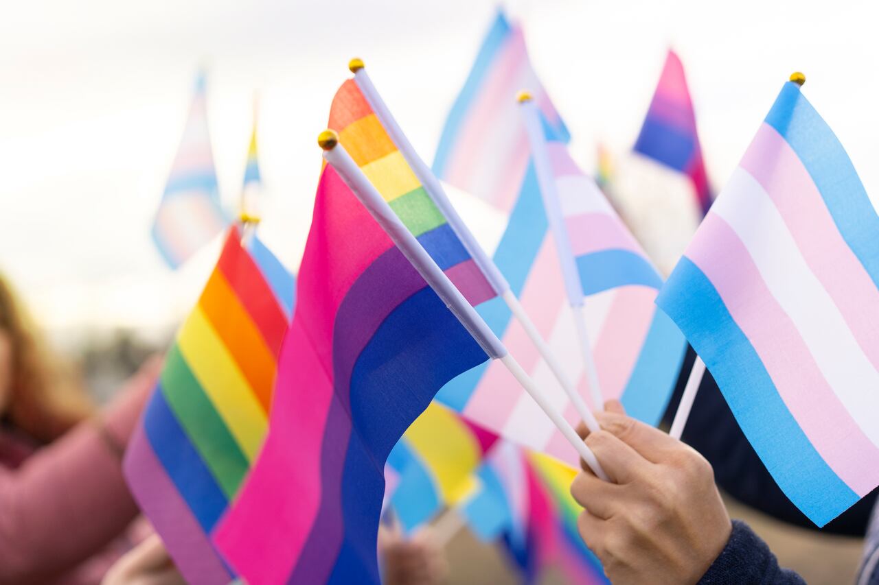 Diversidad
