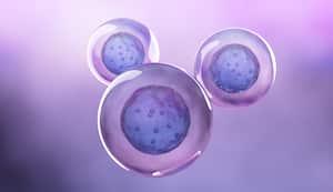 Congelar óvulos- maternidad