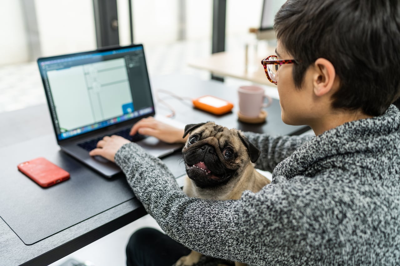 Mascotas en la oficina.