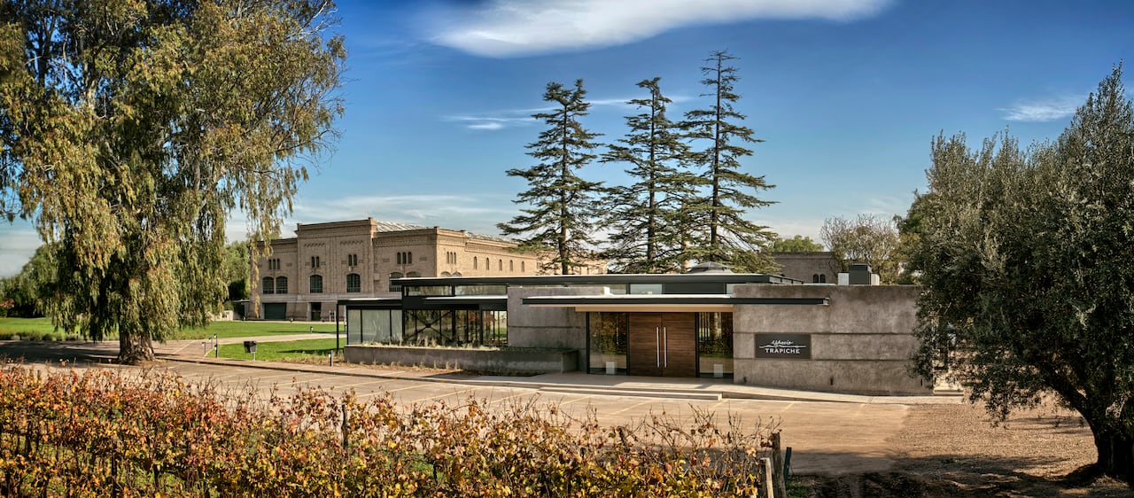 Bodega Trapiche Vino - Mendoza