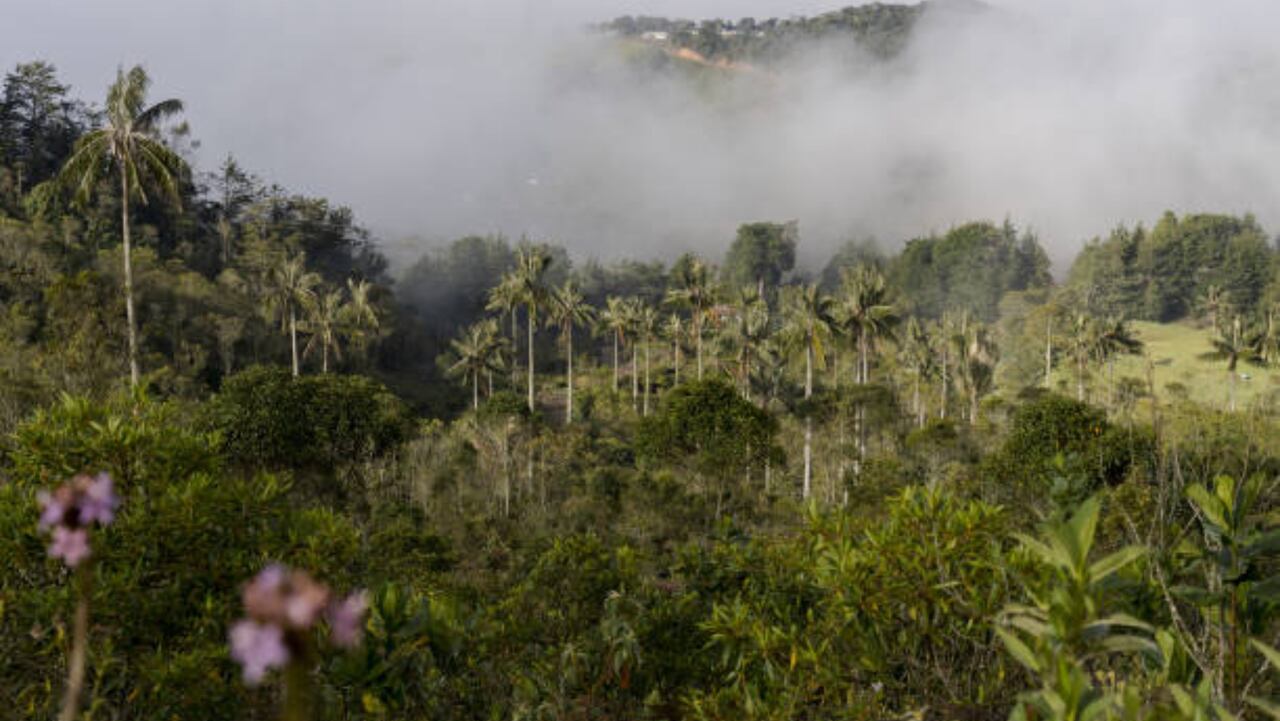 Medellín