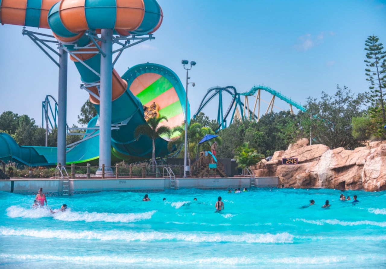 Aquatica Orlando: donde la adrenalina y el descanso conviven