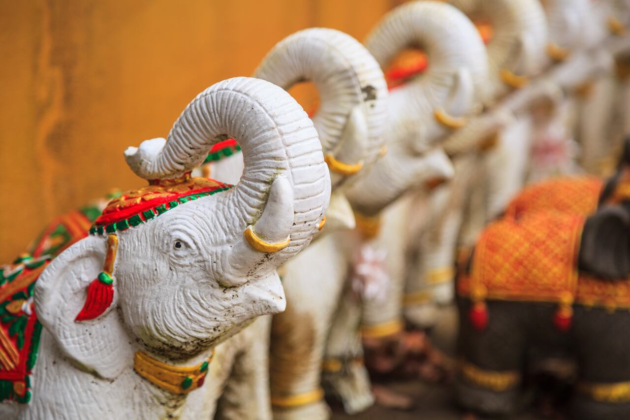 Desentrañando los misterios del Feng Shui: Se aprende cómo esta antigua disciplina puede influir en la fortuna y el bienestar mediante la ubicación adecuada del elefante de la suerte.