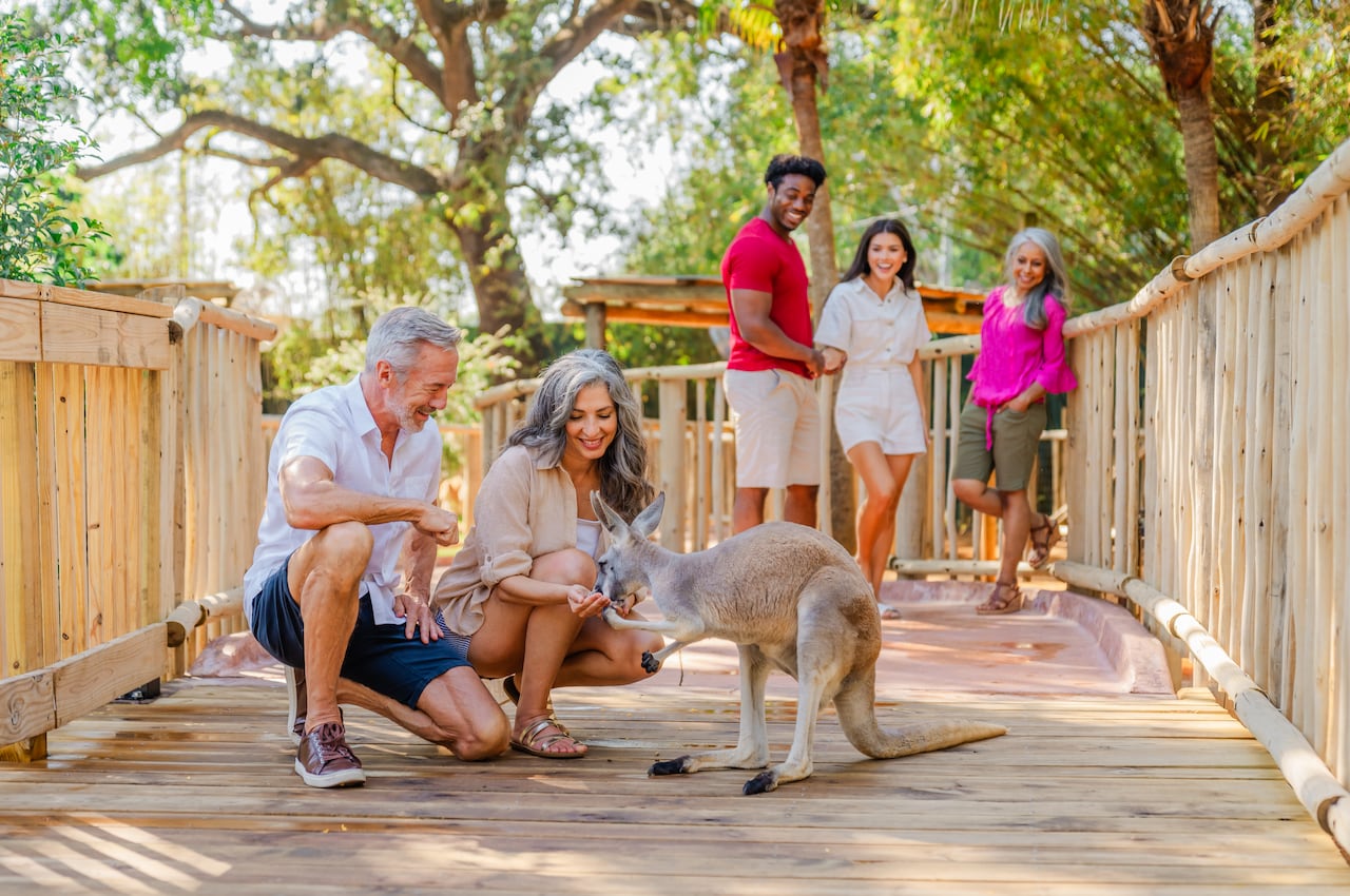 Para quienes viajan con niños, puede ser también una oportunidad para conversar sobre el respeto por la fauna y la importancia de proteger sus hábitats
