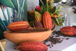 Gobernación del Putumayo