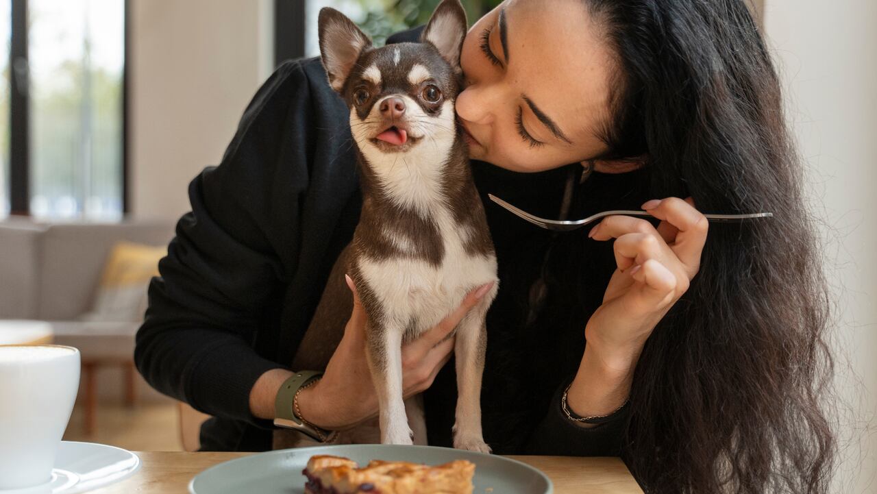 Algunos de los mejores restaurantes pet-friendly en Colombia que deberías visitar con tu peludito