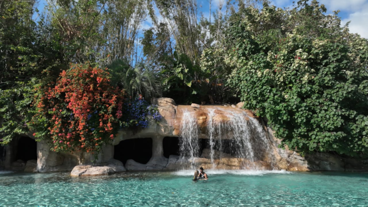 En Discovery Cove, las aguas cristalinas y los paisajes tropicales crean el escenario para una jornada de descanso y exploración.