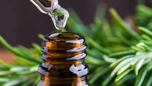 El aceite de romero también funciona para controlar las várices. Foto: Getty Images.