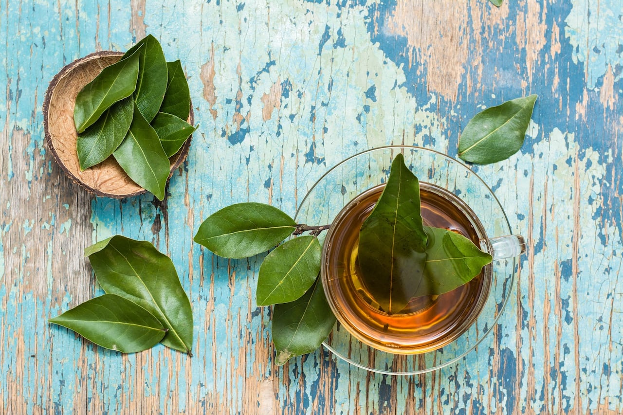 Infusión de hojas de laurel