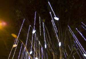 Las luces navideñas capitalinas se encenderán el próximo dos de diciembre