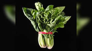 La espinaca puede prevenir el asma, reduce la presión arterial y también es ideal para el cuidado de la salud ósea. Foto: Getty Images.