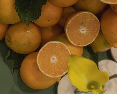 Scalpers presenta “Suite Club” en Bogotá