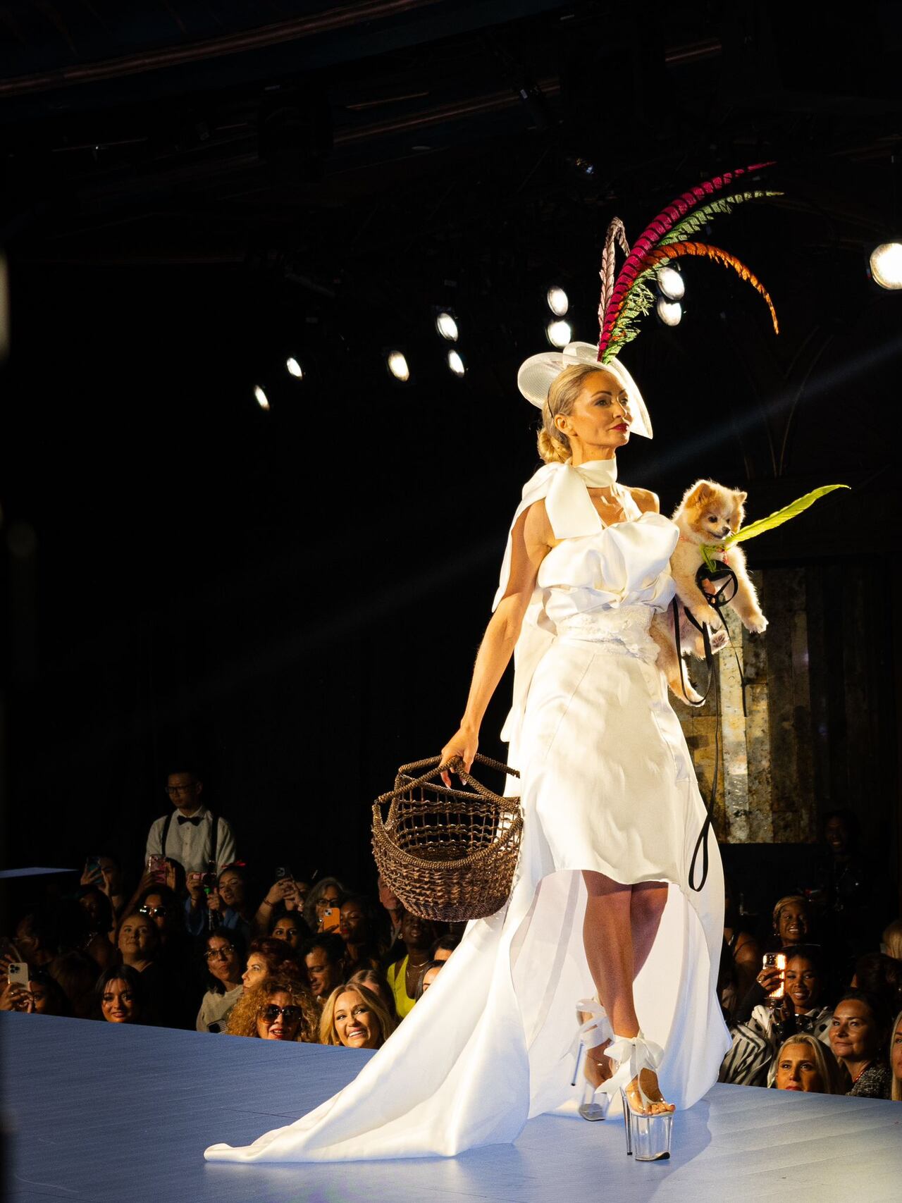 Catwalk Furbaby