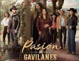 Memes de Pasión de Gavilanes 2