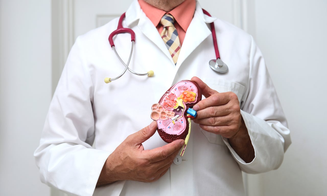 Cáncer de riñón