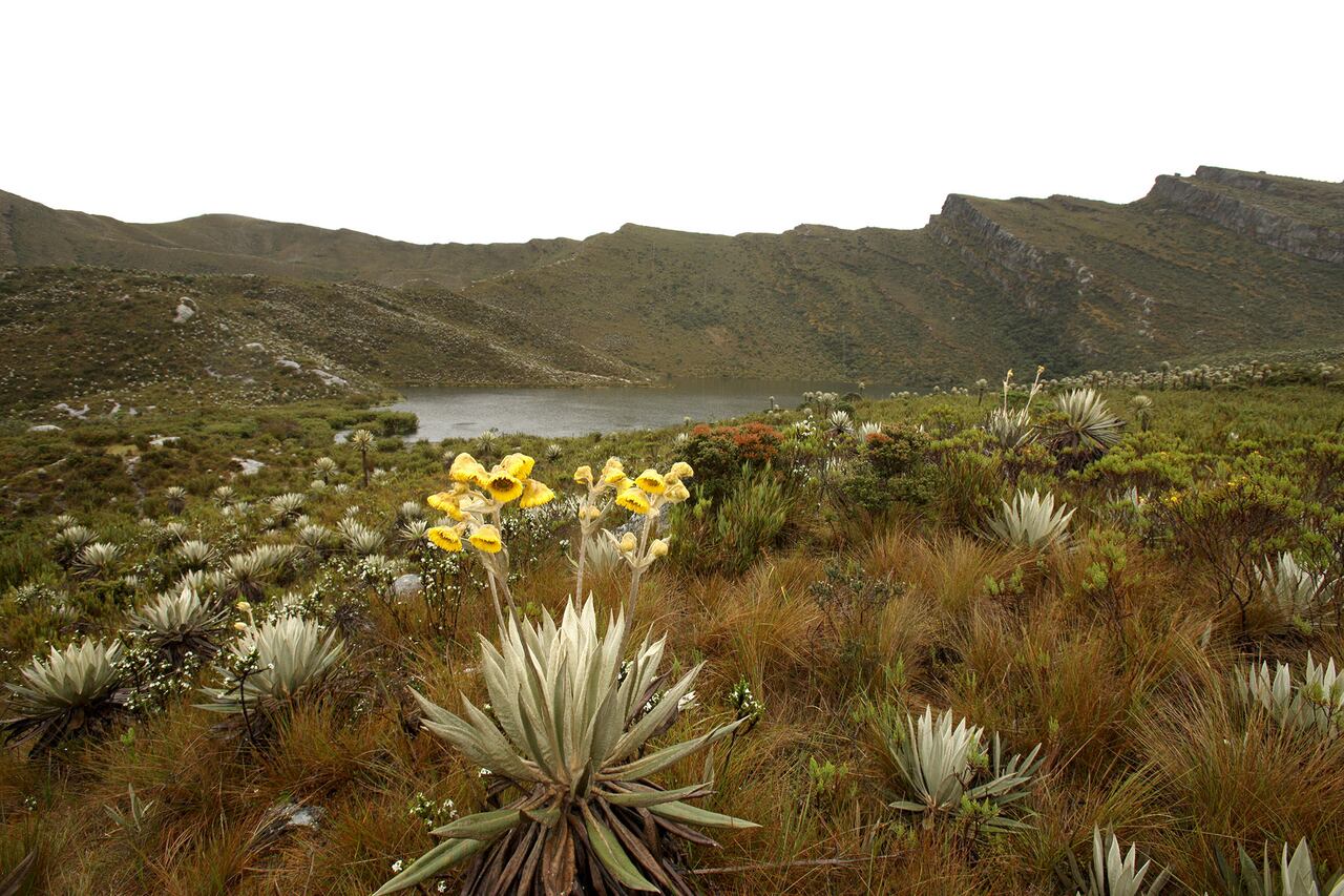 Reapertura parques nacionales
