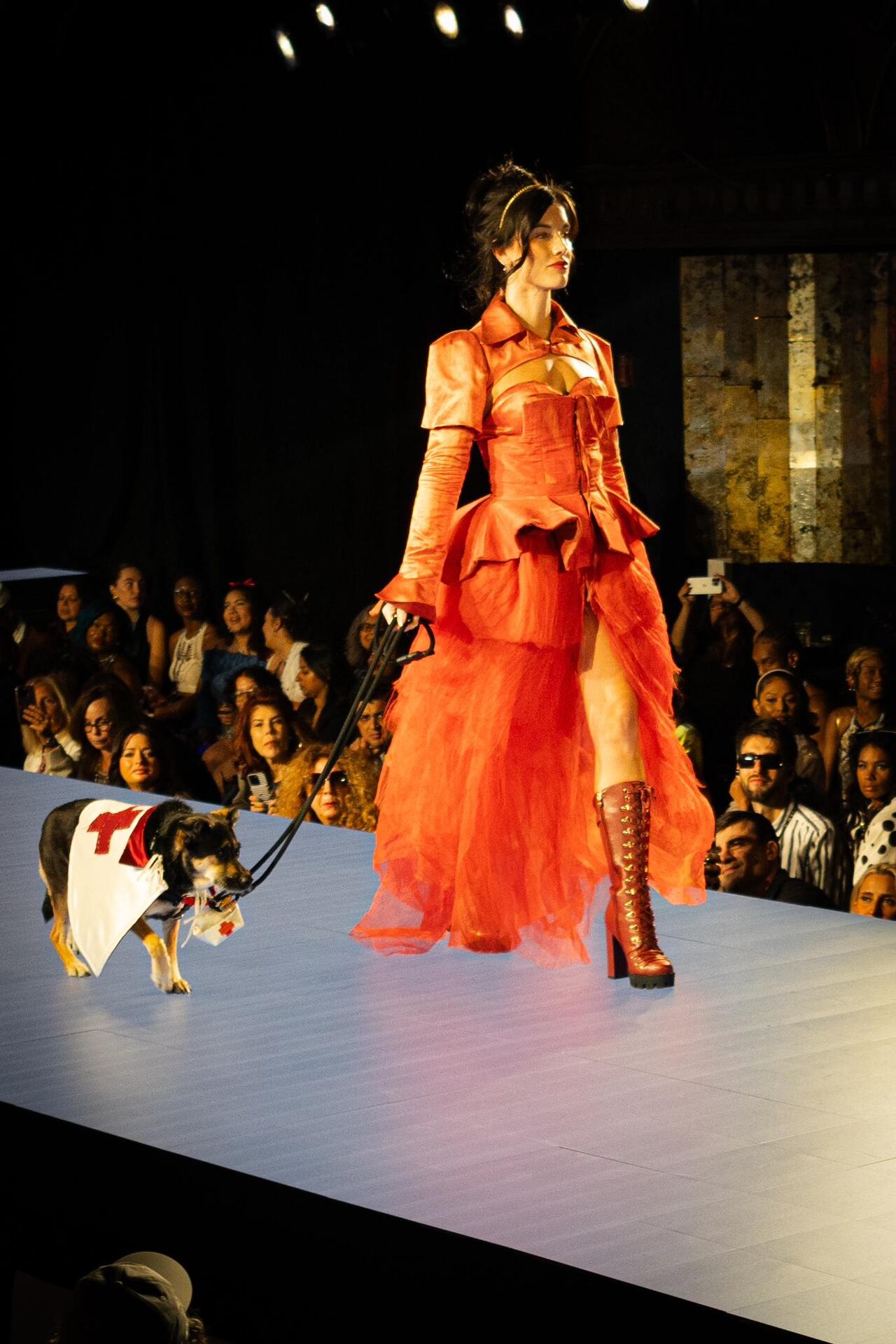 Catwalk Furbaby