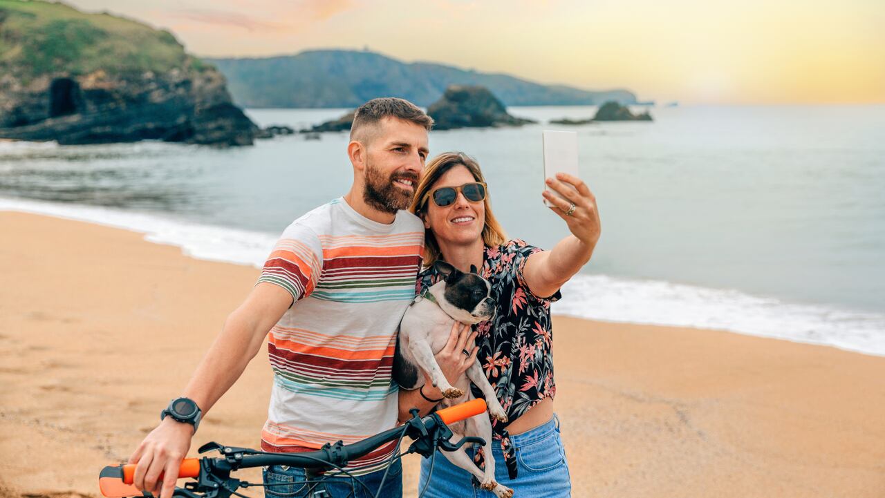 Consejos básicos para viajar con tu mascota