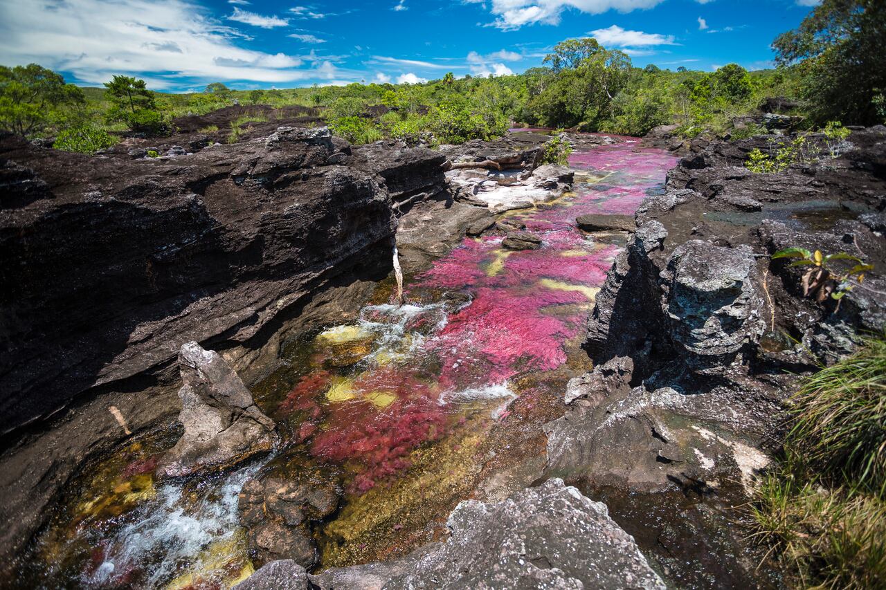 Caño Cristales