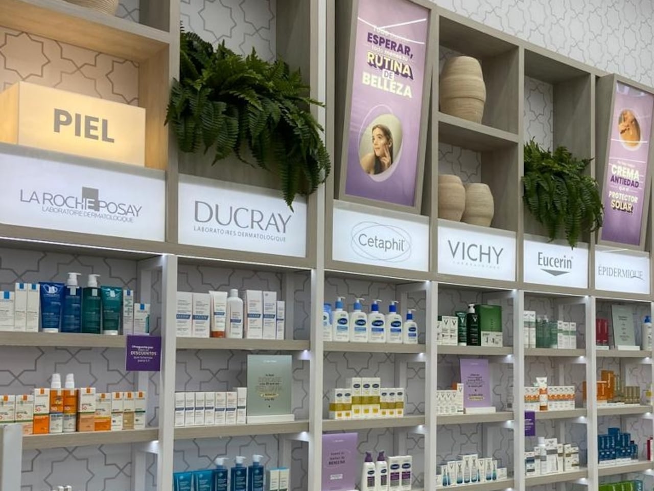 Línea Estética no solo vende: crea espacios donde cuidarse se siente natural.