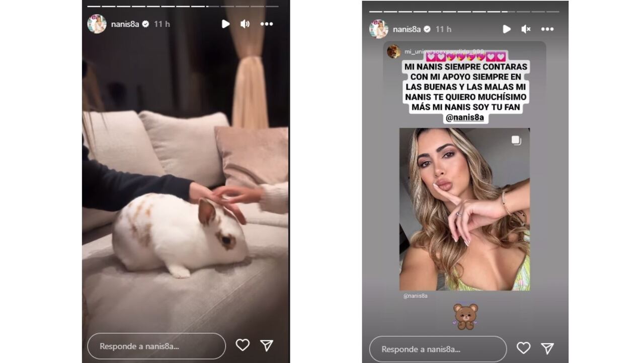 “Los animales no traicionan”, duro mensaje de Nanis Ochoa tras polémica por su renuncia en 'Lo sé todo'
