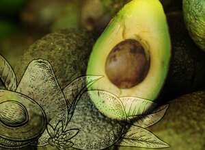 El cartero que revolucionó el aguacate Hass