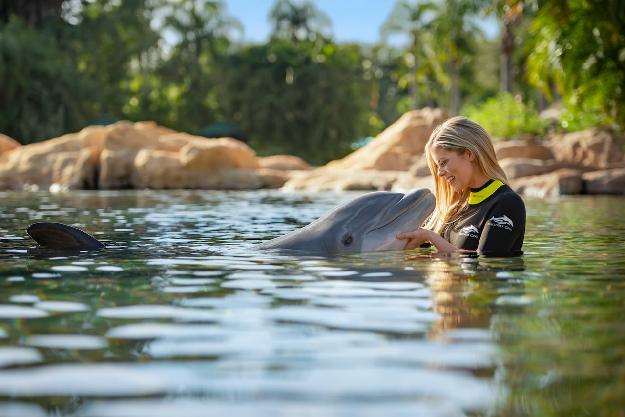 Discovery Cove: