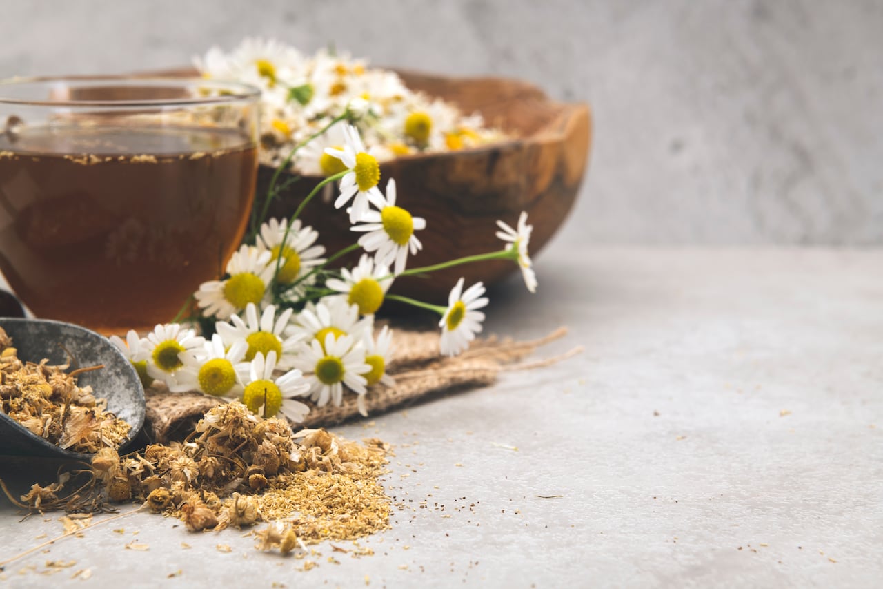 La manzanilla es una planta con aroma y sabor milenario. Foto: Getty Images