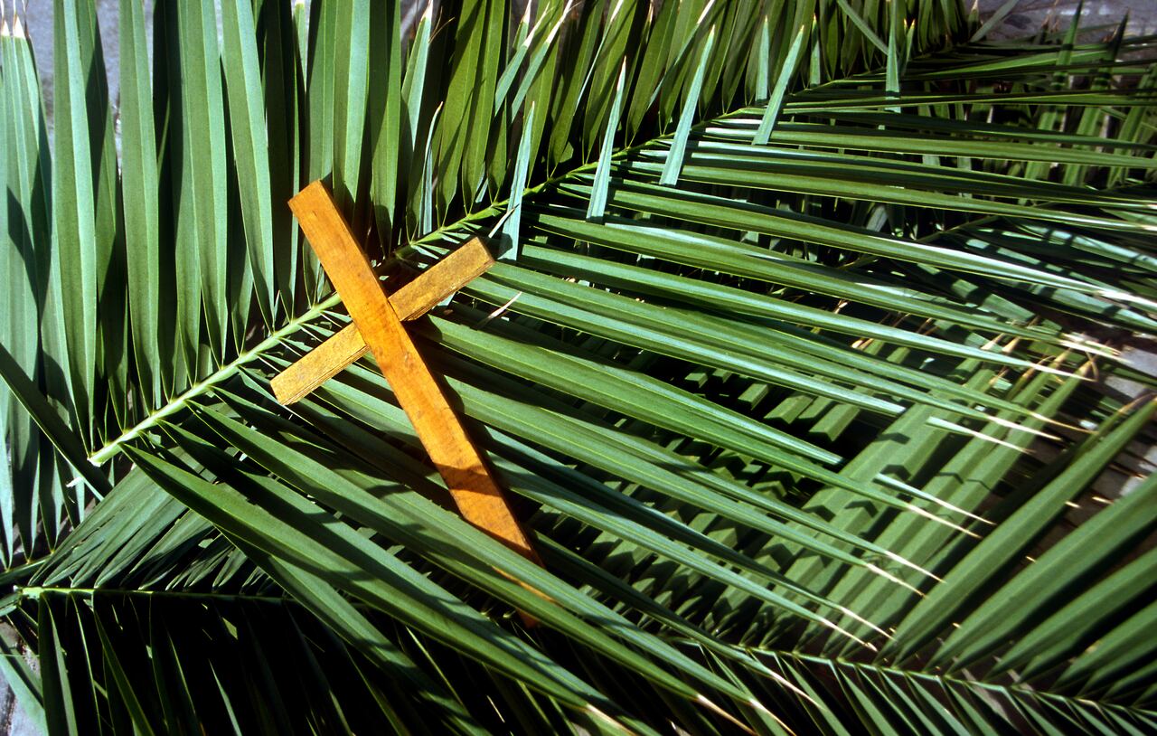Domingo de Ramos