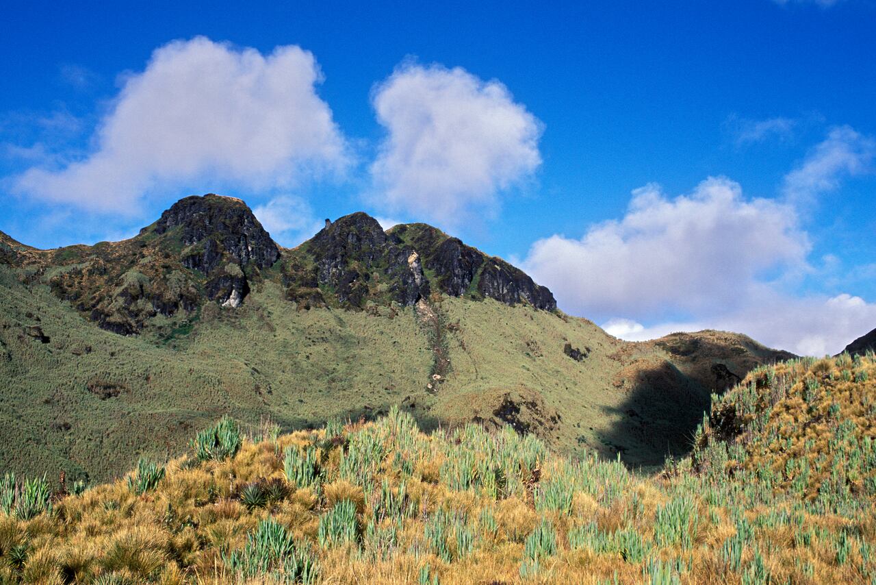 Páramo