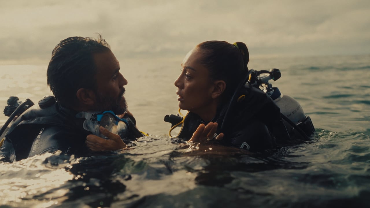 Tiburones, rayas y otras especies marinas aparecen en las imágenes de la película, registradas en un ecosistema que forma parte del relato.