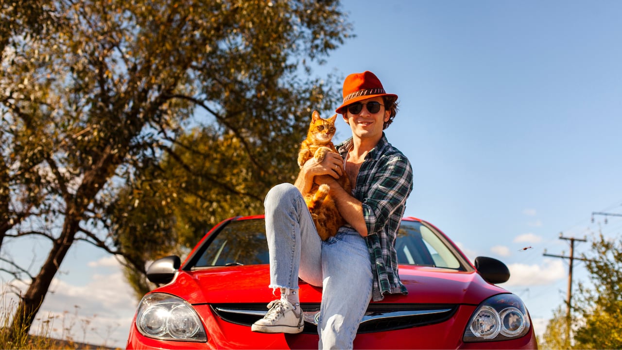 Los mejores destinos para viajar con tu mascota este 2023
